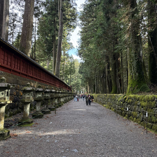 Rōmon Gate - Nikko Futarasan Jinja ⛩️🌳 Rōmon Gate - Nikko Futarasan Jinja ⛩️🌳