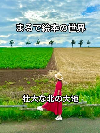 Hokkaido ❤︎ Fairytale-like scenic spots🌳🌳🌳