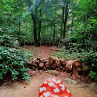 Fairytale Forest (Efteling)