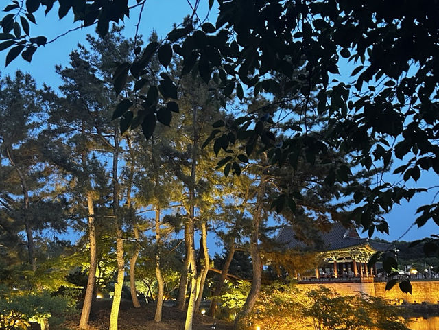 경주 여행엔 동궁과 월지, 불국사