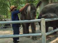 เที่ยวสวนสัตว์เปิดเขาเขียว จ.ชลบุรี 🦒🐘🦛