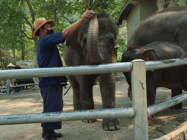 เที่ยวสวนสัตว์เปิดเขาเขียว จ.ชลบุรี 🦒🐘🦛