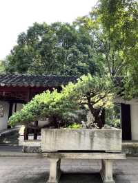 ⛰ Tiger Hill — The Soul of Suzhou