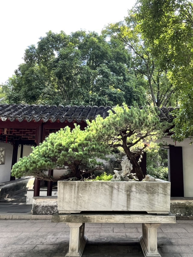 ⛰ Tiger Hill — The Soul of Suzhou