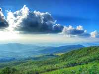 สวนยาหลวง จ.น่าน