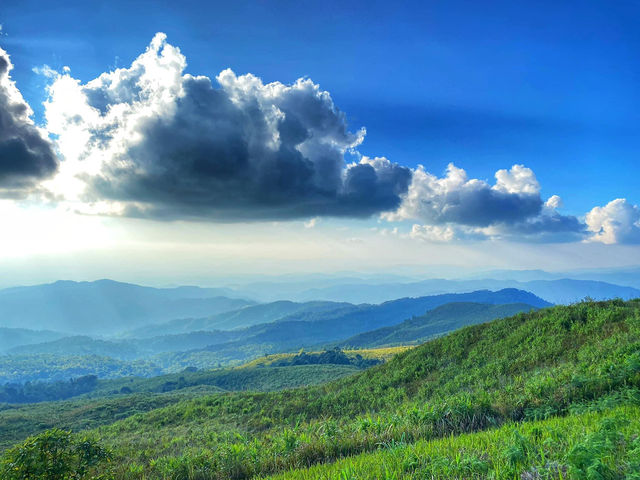 สวนยาหลวง จ.น่าน สวนยาหลวง จ.น่าน