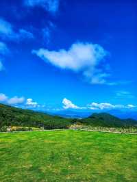 高空雲中海景觀景熱點推介