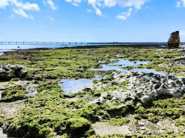 瀨長島-我最最最喜歡的沖繩景點，沒有之一