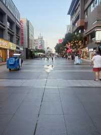 Suzhou By Water🌊