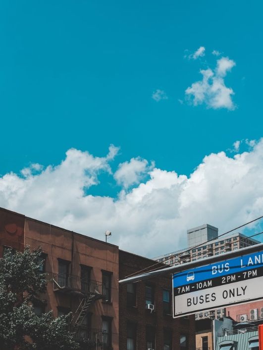 뉴욕, 미식과 예술이 숨 쉬는 도시