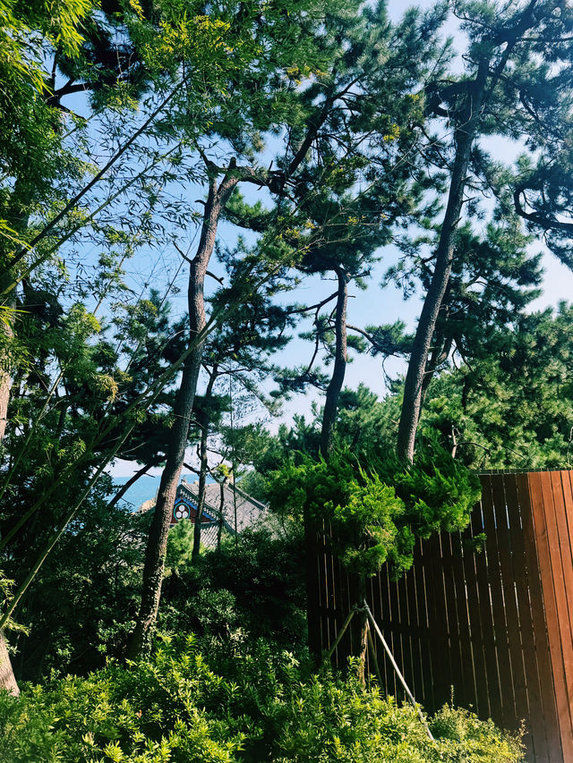 부산 해동용궁사, 가을바다와 함께한 야외데이트