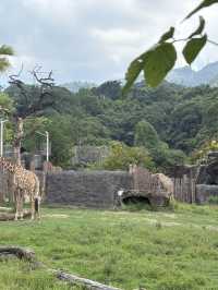 臺北市立動物園🐼親子一日遊攻略🦒