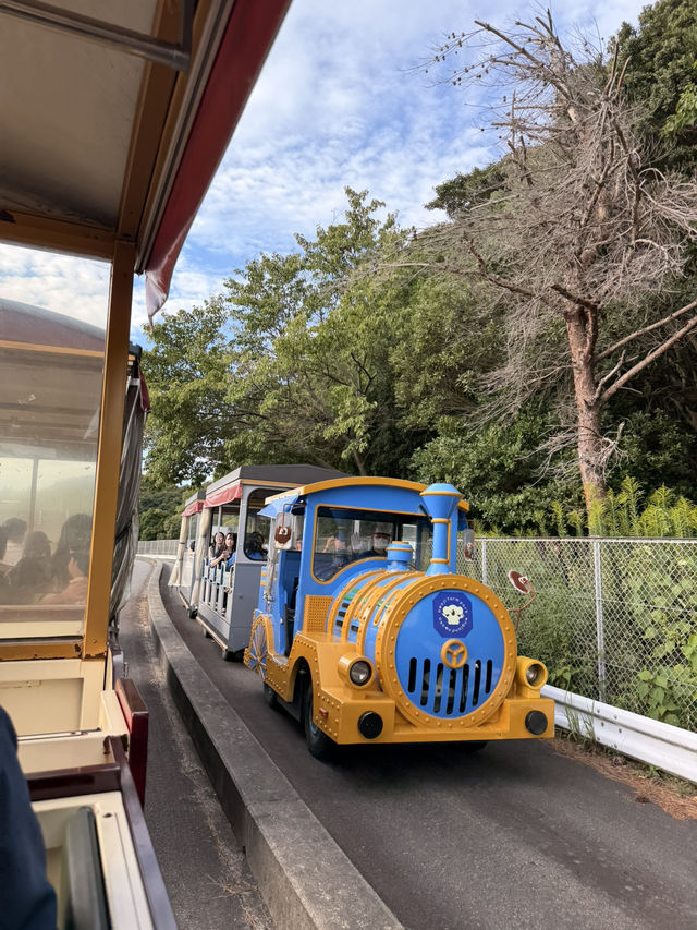 【淡路島】本物のコアラに間近で会える！秋の魅力たっぷりスポット