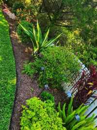 🌸 “Harry P. Leu Gardens – Orlando’s Blooming Paradise!”