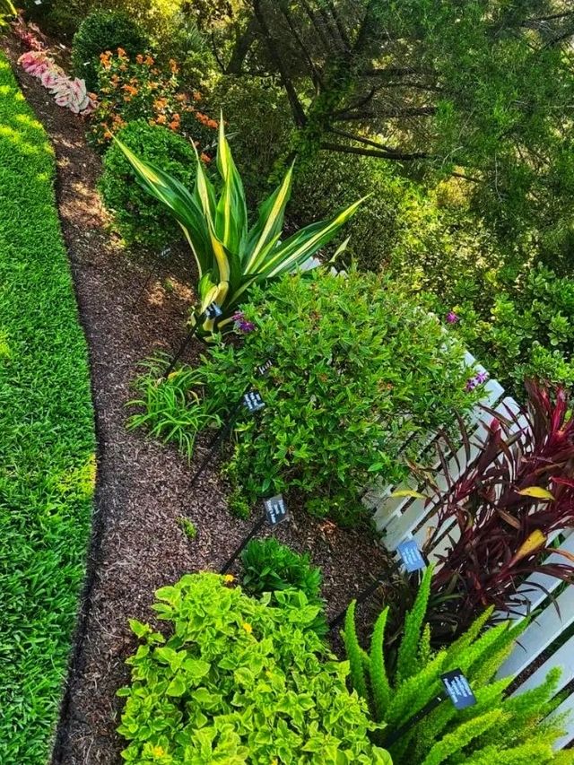 🌸 “Harry P. Leu Gardens – Orlando’s Blooming Paradise!” 🌸 “Harry P. Leu Gardens – Orlando’s Blooming Paradise!”