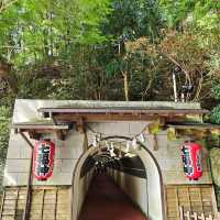福冈南藏院参拜评论