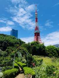 芝公園玫瑰園：都市綠洲中的芬芳秘境，邂逅四季浪漫