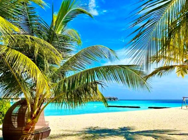 Constance Moofushi — The Art of All-Inclusive Perfection