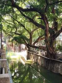 “Echoes of the Past — The Iconic Shangxiahang Canal of Fuzhou”