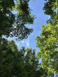 พักใจที่แทจอนสวนพฤกษศาสตร์กลางเมืองที่ร่มรื่น