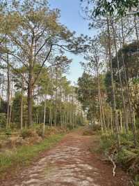 ครั้งหนึ่งเคยเป็นผู้พิชิตภูกระดึง ⛰️⛺️