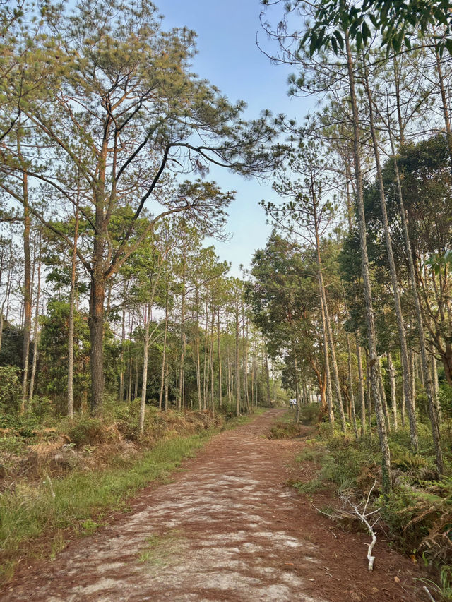 ครั้งหนึ่งเคยเป็นผู้พิชิตภูกระดึง ⛰️⛺️