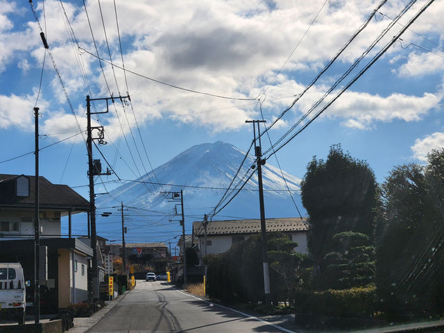 楓葉限定！俯瞰山河靚景  