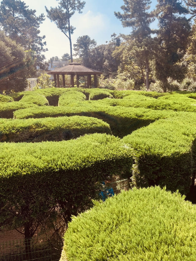 A Unique Photo and Memory Spot