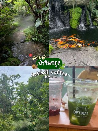 ☕️ เติมพลังวันดีๆที่ Optimal Coffee & More 