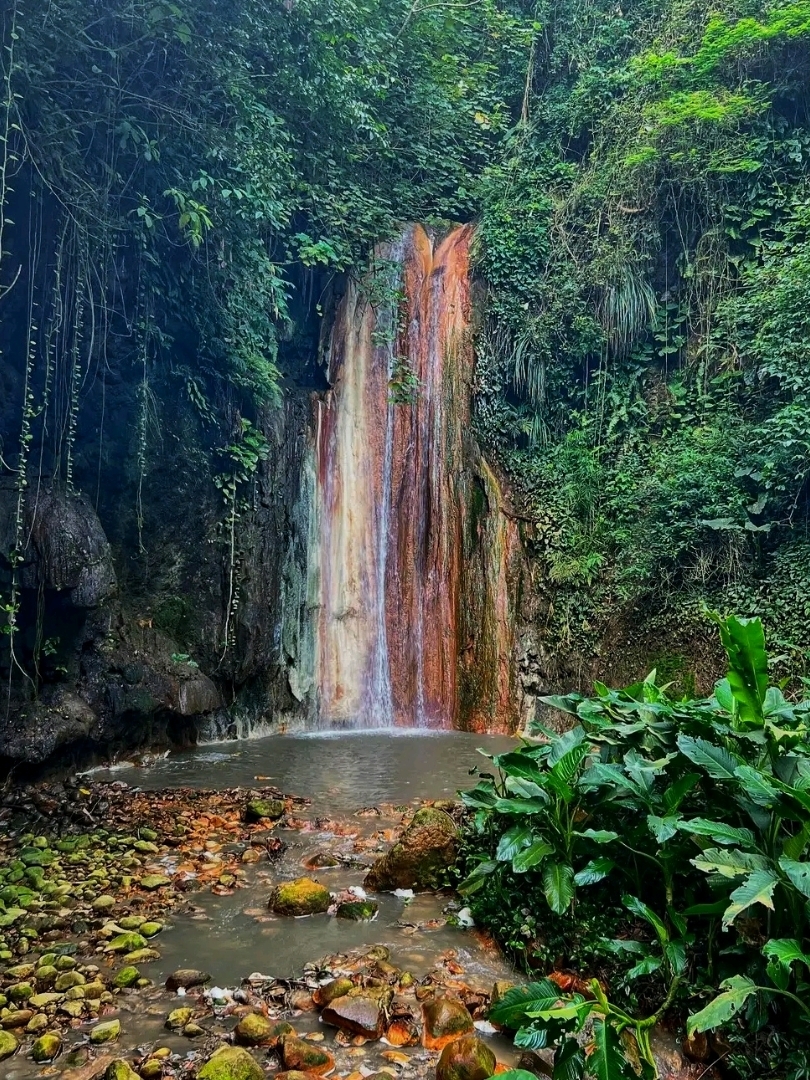 🌺💦 สวนพฤกษศาสตร์ Diamond Falls – ดินแดนมหัศจรรย์เขตร้อนอันซ่อนเร้นของเซนต์ลูเซีย