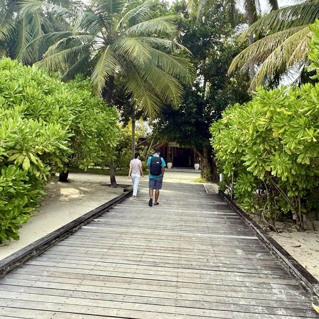 Tropical Bliss at Kuramathi Maldives
