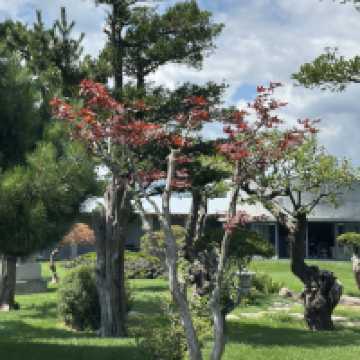 Makomanai ใส่หมวกพกร่มมาด้วยนะ