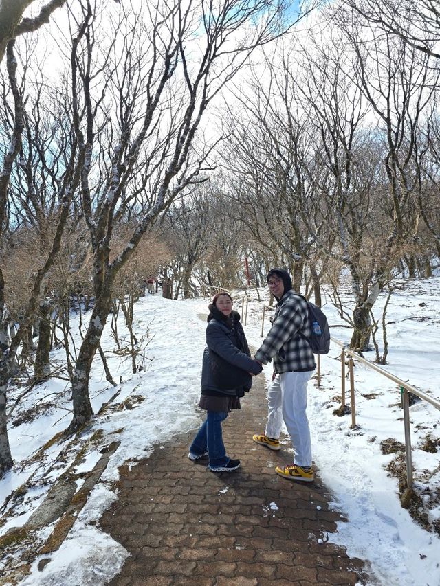 Fukuoka 7 วัน Feburary 2025 ขากลับแวะโฉบเซี่ยงไฮ้