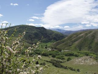 New Zealand South Island Road Trip Detour | Tarras Village Store