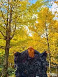 中國湖南張家界一日遊 武陵源 張家界 天子山 金鞭溪