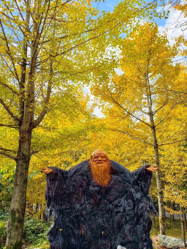 中國湖南張家界一日遊 武陵源 張家界 天子山 金鞭溪 中國湖南張家界一日遊 武陵源 張家界 天子山 金鞭溪