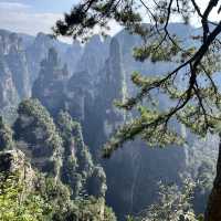  Zhangjiajie East Gate — A One-Day Journey Through Peaks, Clouds & Surprises