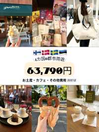 【北欧周遊🇫🇮🇩🇰🇸🇪🇪🇪】お土産・カフェ・その他費用 まとめ