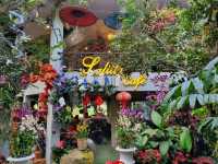 Lalitta Café—Chiang Rai’s Insta-Worthy Flower Wonderland 🌸✨