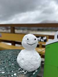 🏯❄️心も体も満たされる！最高の冬の熊本旅レポート！🥩♨️