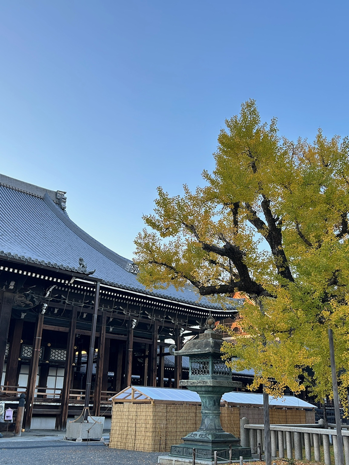 京都古寺散策 京都 京都古寺散策 京都 【公式通販】