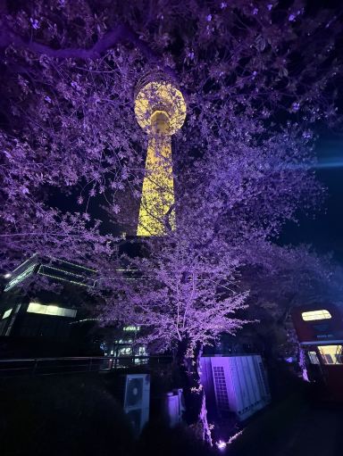 活気あふれる都市・大邱。そのランドマークといえば何を思い浮かべます