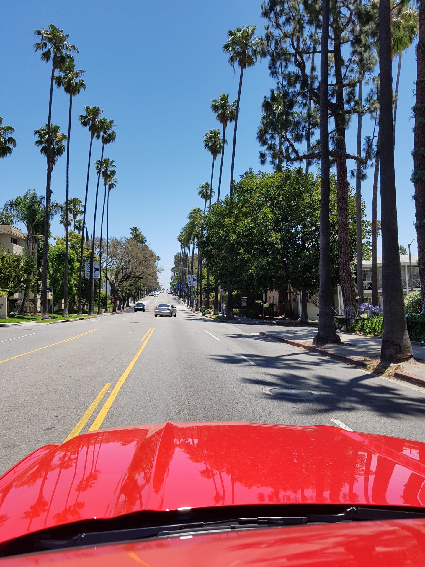 The Ultimate Guide to Los Angeles' Top 4 Must-See Landmarks.