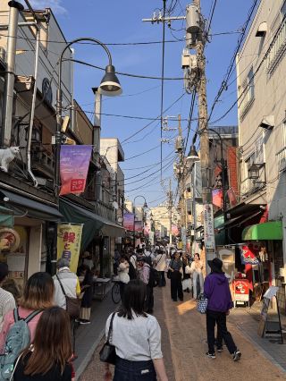 東京の最高にクールなコントラストを探索 – ネオン輝く街並みから...。