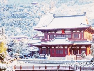 西安・華清宮に漂う王朝の霧：期待を遥かに超える壮大な歴史の大冒険
