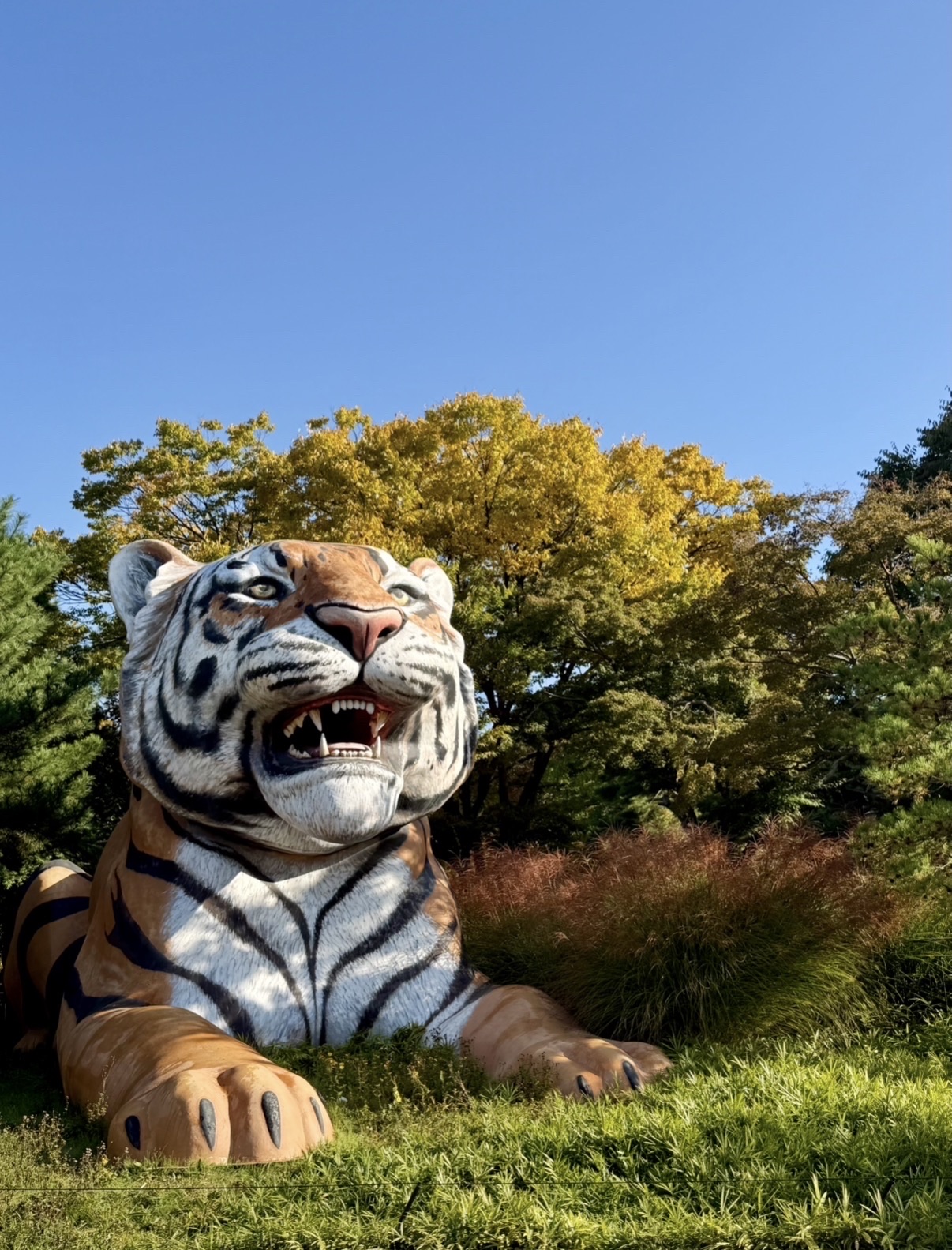 Hidden gem dekat Seoul, Korea Selatan! Yuk ketemu hewan-hewan lucu di "Seoul Grand Park Zoo".