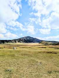 🇯🇵【熊本・阿蘇】草千里ヶ浜の絶景に感動!馬と大自然に癒される旅