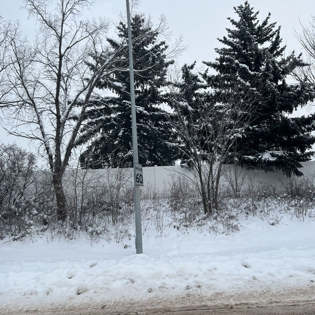 Edmonton Toronto 