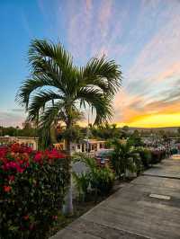 Best of Baja California in 7 days