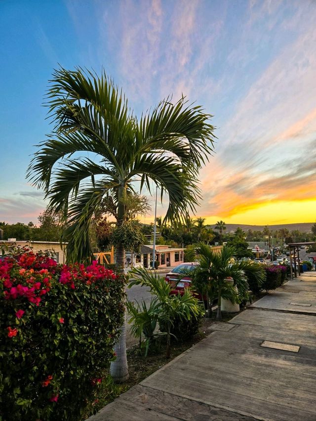 Best of Baja California in 7 days